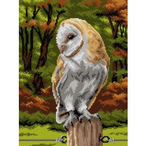 3131J Bagoly 30x40 cm