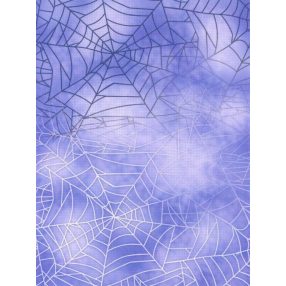 skd14-097 Festett aida vászon 14ct 21x30 cm