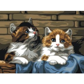 C104 Julius Adam - Cicák 30x40 cm