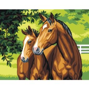 C105M Lovak 40x50 cm