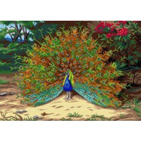 3117R Archibald Thorburn-Páva 50x70  cm