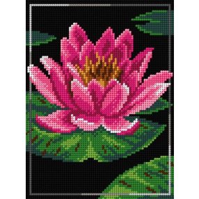 3053F Vízililiom 18x24 cm