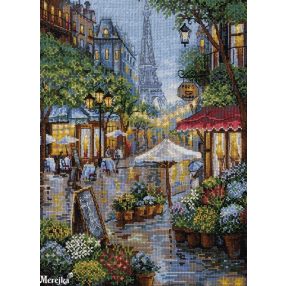 SK162 Rainy Paris 21x29 cm