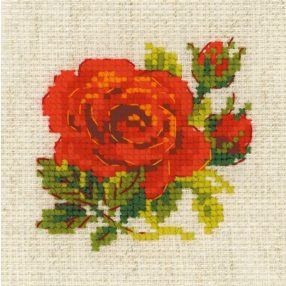1843 Red Rose 13x13 cm