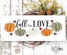223 Fall in love 
