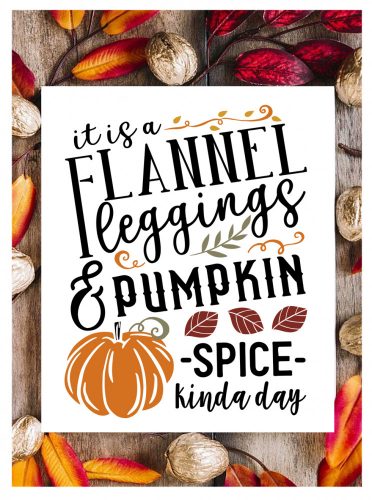 229 Flannel leggings and pumpkin spice 