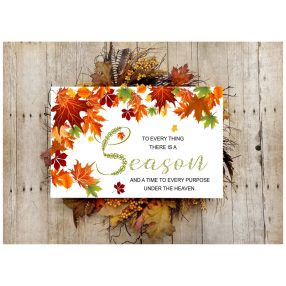 259 To everything there is a season 30x20 cm (fa)