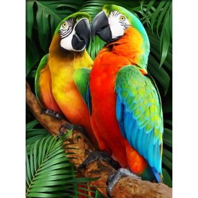 AZ1791 Macaws in the Jugle 30x40 cm
