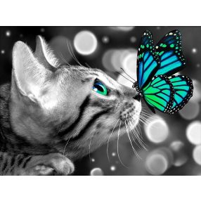AZ1789 Bengal Cat and Butterfly 40x30 cm
