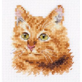 0-207 Animal Portraits Ginger Cat 8x8 cm