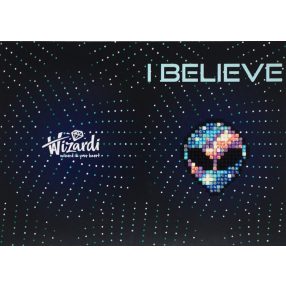 WC0289 I Believe 10x14 cm