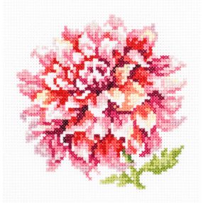 ci-150-008_1 Dahlia 11x11 cm