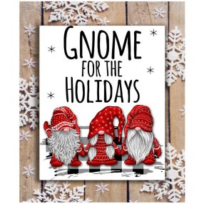 370 Gnome for the holidays 