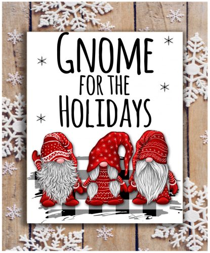 370 Gnome for the holidays 