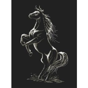 Z10243 Enchanted horse 30x40 cm