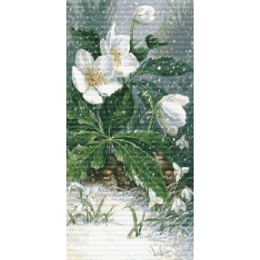 CRC - Kismadarak a karácsonyi rózsa alatt