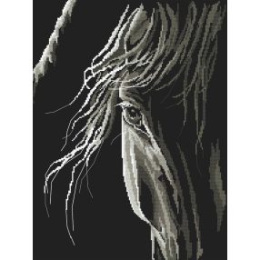 Z10246 Horses look 30x40 cm