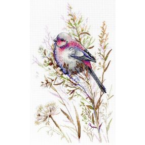 SNV718 First Snow 30x20 cm