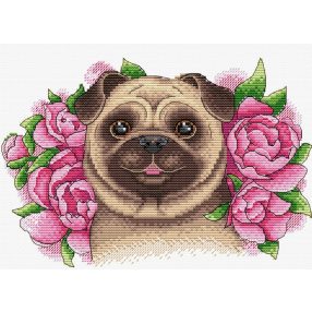 SM504 Charmed Friend 22x16 cm