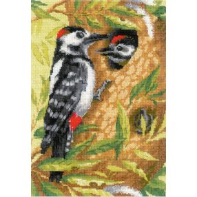 1851 Woodpecker 21x30 cm