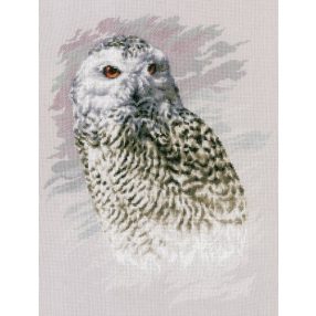 PN-0183826 Snowy Owl 29x38 cm