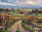 SK164 Vineyard Hill 30x40 cm
