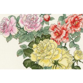 XBD13 Rose Blooms 36x24 cm