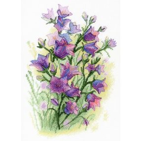 SA035 Freshness Serenade 27x19 cm