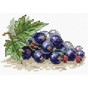 SM514 Ripe Currant 8x11 cm