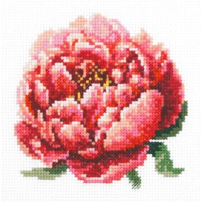 ci-150-009 Red Peony 11x11 cm