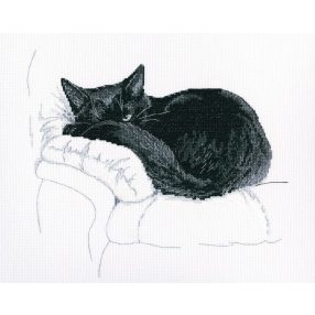 M668 Among black cats 27x23,5 cm
