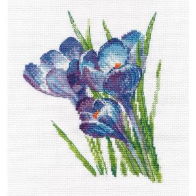 s1293 Crocuses 14x17 cm