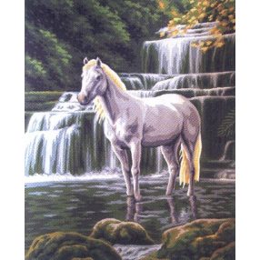 C10428 Horse in the water 40x50 cm