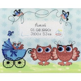SRK316 Birth Sampler Owlets 22x25 cm