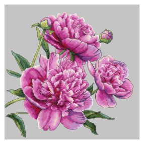 Z10272 Beautiful peonies 25x25 cm