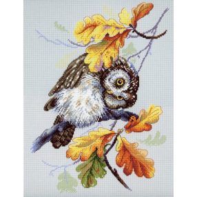 SNV725 Owl Look 33x25 cm