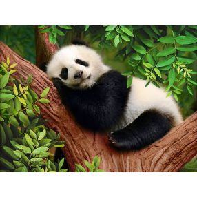 AZ1826 Sleepy Panda 40x30 cm