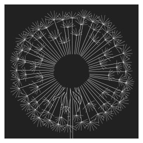 Z10615 Pitypang I 40x40 cm