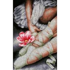 PN-0157513 My little ballerina shoes 22x34 cm