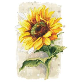 10436 Büszke napraforgó 31x48 cm