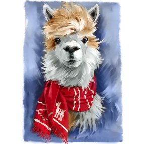 WD2512 Lama with Scarf 27x38 cm