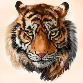 WD2515 Wild Predator 38x38 cm