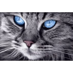 WD2517 Blue-Eyed Cat 30x20 cm