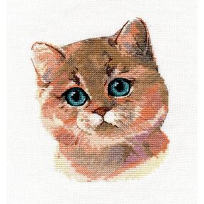 S1326 British Shorthair 13x16 cm