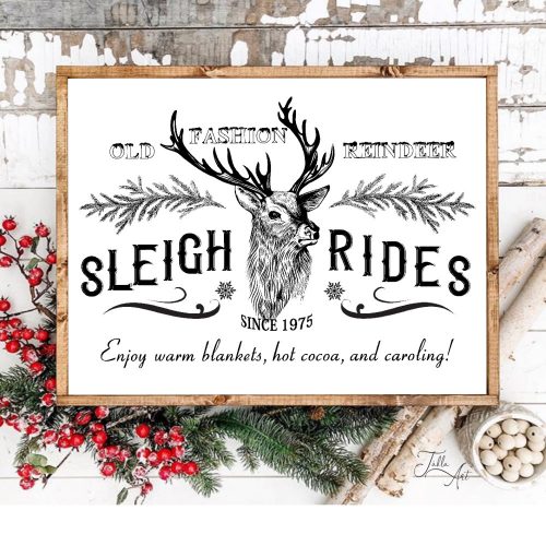 1252 Old fashion reindeer sleigh rides 