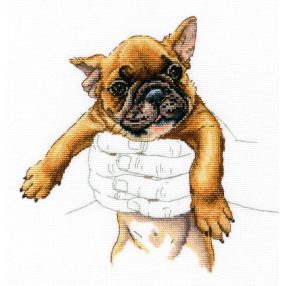 M821 In palms 20x19,5 cm