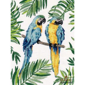 s1348 Blue-and-yellow macaw 21x29 cm