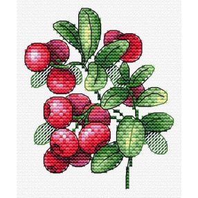 SM551 Lingonberry flavor 11x10 cm