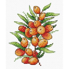 SM591 Sea buckthorn mood 12x10 cm