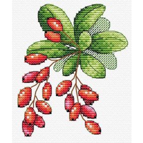 SM595 Barberry 12x10 cm